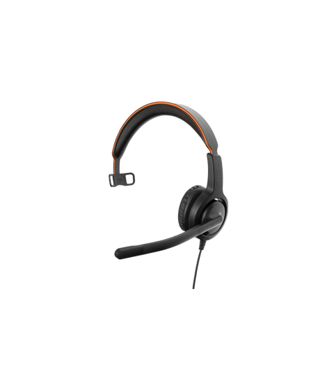 Voice 40 mono NC